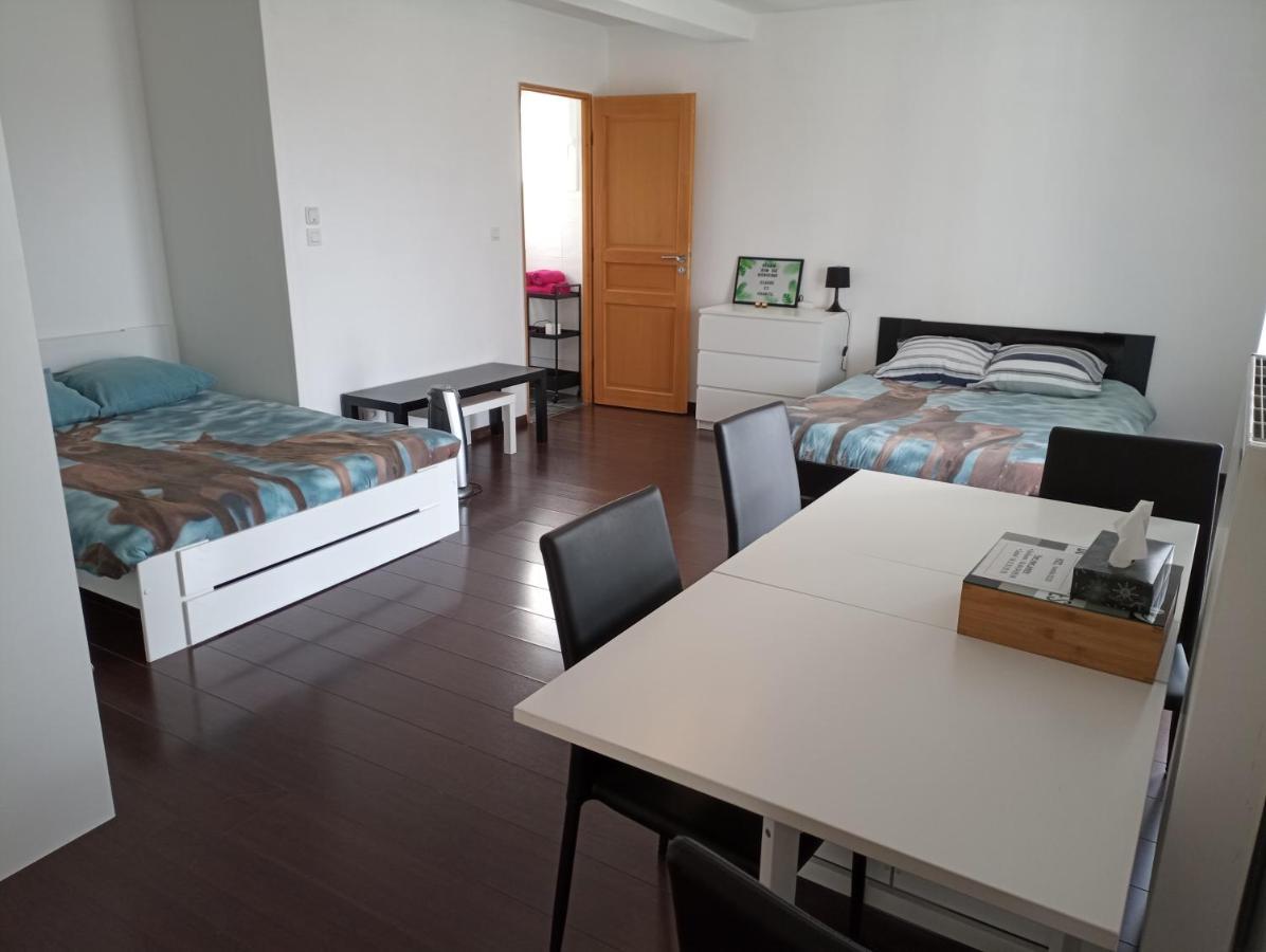 Studio Independant 40M² Avec Jardin Prive Hauteville-Lompnes Eksteriør bilde